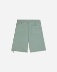 Men's Loose Fit Sweatshorts Sage Green