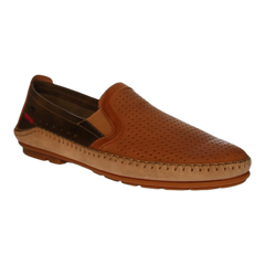 Dorian F1172