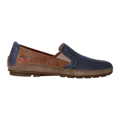 Dorian F1172
