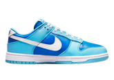 Nike Dunk Low Retro Argon (2022) Men's
