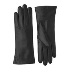 Elisabeth Glove