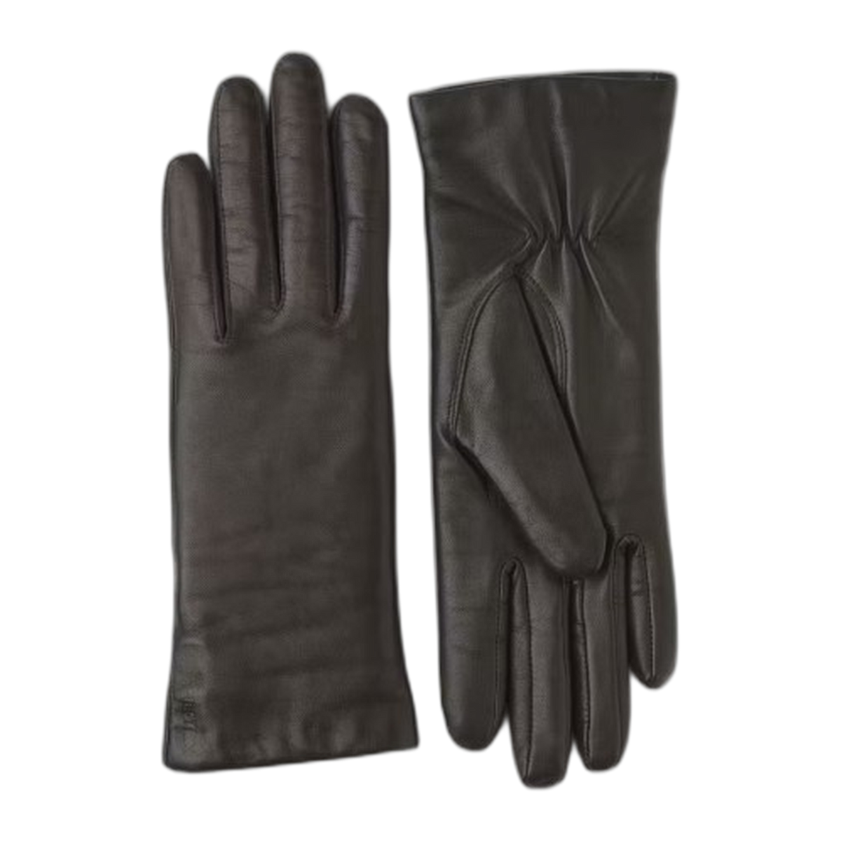 Elisabeth Glove
