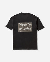 Men's Horses T-Shirt Black