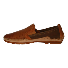 Dorian F1172