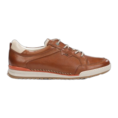 Elder F2179