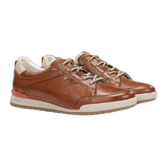 Elder F2179